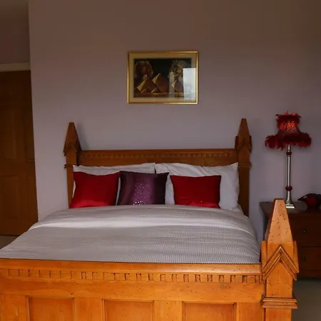 Guest house Blue Ivy *